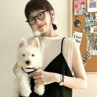 吊桥上的秘密